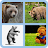 4 Pics 1 Word icon