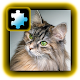 Jigsaw Puzzle VIP: Cat