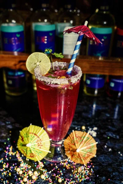 Cranberry Mojito