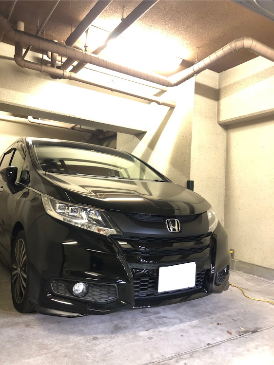 オデッセイのRC1・フロントグリル塗装・FOLIATEC・自分で塗装に関するカスタム事例の投稿画像2枚目