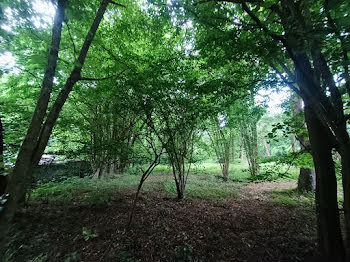 terrain à Saint-Etienne-Roilaye (60)