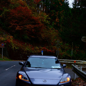 RX-8 SE3P