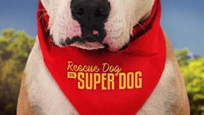 Rescue Dog to Super Dog thumbnail