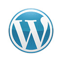 WordPress.org Plugins SVN Link