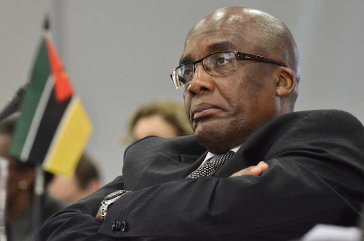 Home affairs minister Aaron Motsoaledi. File photo.