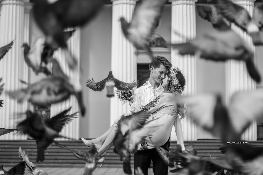 Photographe de mariage Egor Tetyushev (egortetiushev). Photo du 4 novembre 2016