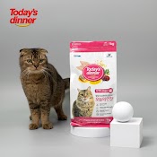 [1Kg] [Deal Sốc - Date Xa] Hạt Cho Mèo - Thức Ăn Cho Mèo Today's Dinner 1Kg