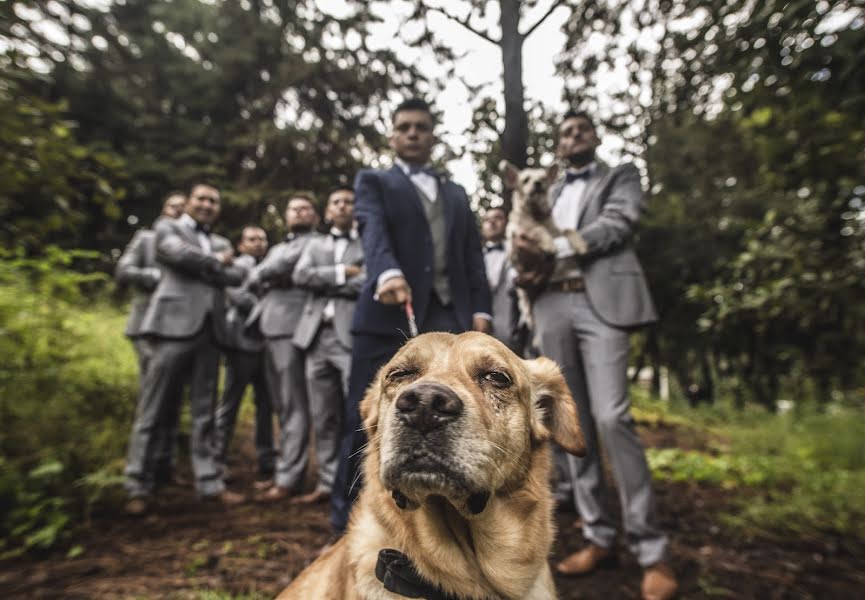 Fotografo di matrimoni Elena Flexas (elenaflexas). Foto del 21 febbraio 2019