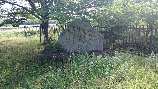 沫雪のほどろほどろに降りしけば　平城の京師し思ほゆるかも