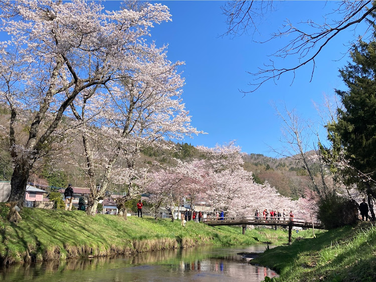 DAI-KOOさんが投稿したROWEN・忍野八海・富士山・桜・一部フィクションが含まれていますに関するカスタム事例の投稿画像10枚目