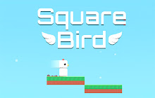 Square Bird small promo image