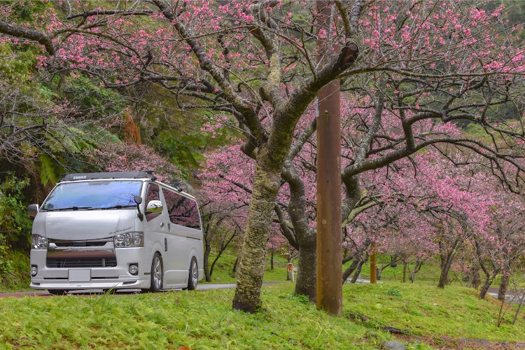 ハイエースバンの沖縄・桜・ひとあしお咲きに・いちばん桜・シンプルにカッコよくに関するカスタム事例の投稿画像2枚目
