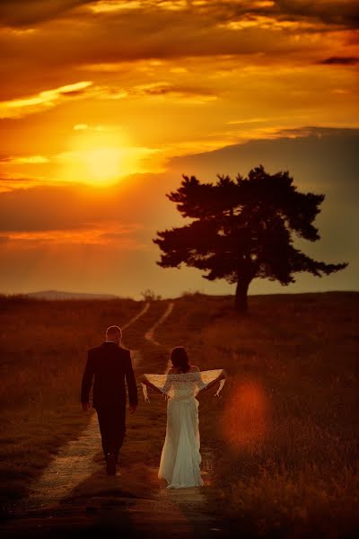 Photographe de mariage Slawomir Gubala (gubala). Photo du 20 mai 2015