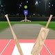 Baseball and Cricket Batting Practice 3D SL and AI Download on Windows