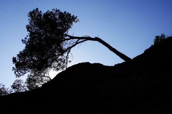 La forza della natura.  di micphotography