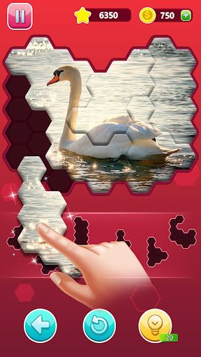 Hexa Jigsaw Epic Puzzle