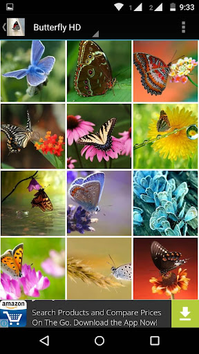 免費下載個人化APP|Butterfly Wallpapers HD app開箱文|APP開箱王