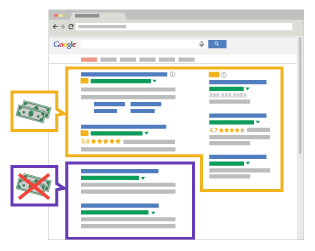 Paid vs. organic search results