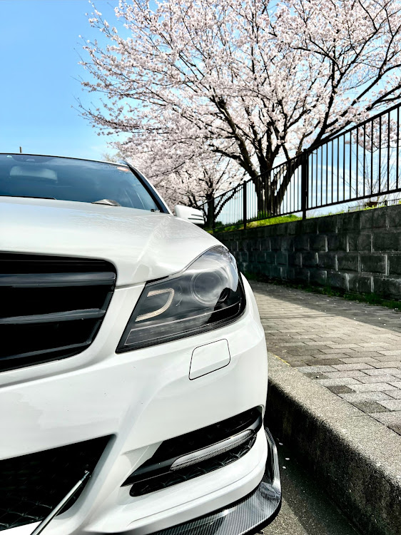 Cクラス ステーションワゴンの初めてのの桜と🌸・サクラと愛車・ハイ　カッコいい❣️に関するカスタム事例の投稿画像7枚目