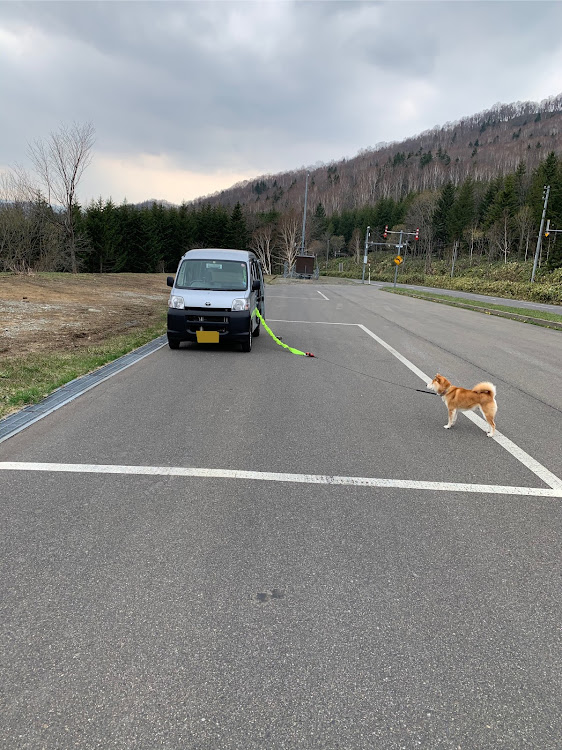 ピクシスバンの飛惟さんが投稿したカスタム事例の投稿画像2枚目