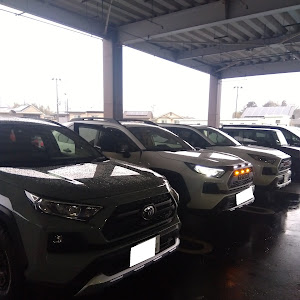 RAV4 MXAA54