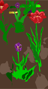 Tulips cont...
