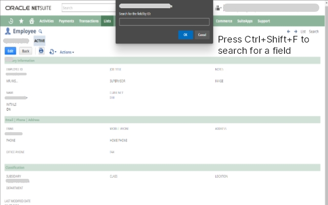 Show Netsuite Field IDs Preview image 1