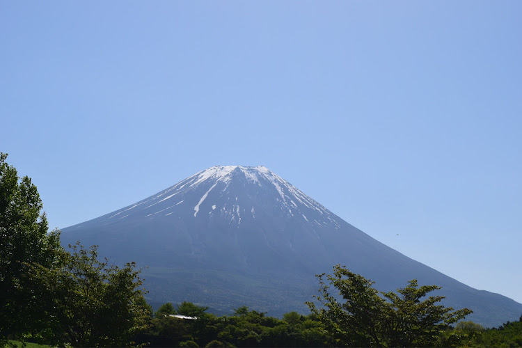 の投稿画像13枚目