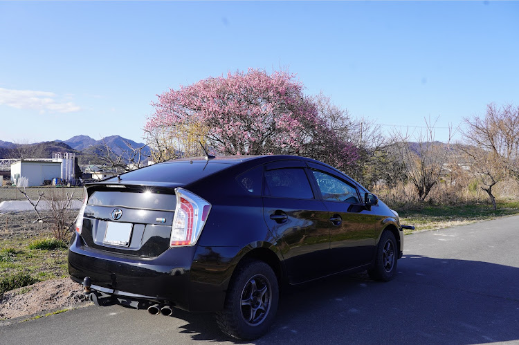 プリウスのprius30・リフトアップ・us  PRIUS・米国トヨタに関するカスタム事例の投稿画像1枚目