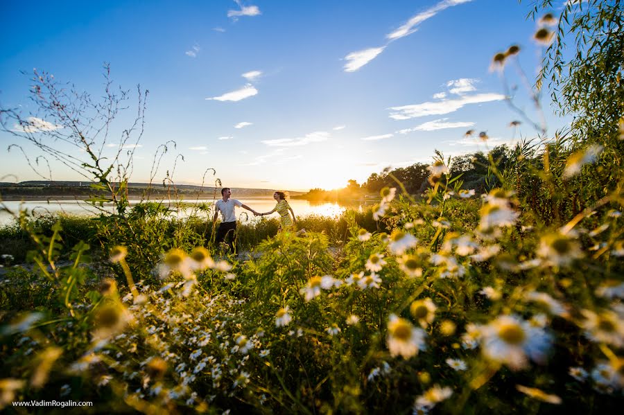 Fotografo di matrimoni Vadim Rogalin (zoosman). Foto del 17 giugno 2017