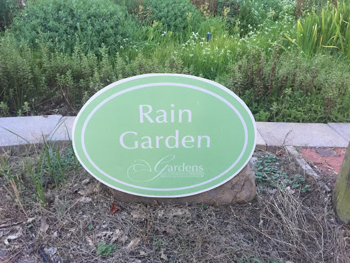 Rain Garden