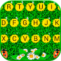 Sunlight Summer Grass Keyboard
