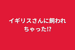 イギリスさんに飼われちゃった⁉︎