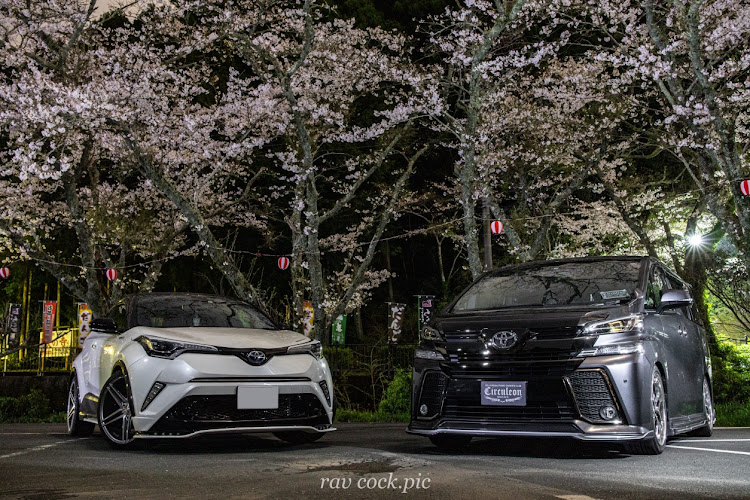 ヴェルファイアの桜と愛車・夜桜・綺麗に撮って貰いました(*^^*)・ハリアー、C-HR、ヴォクシー、RAV4・小國神社に関するカスタム事例の投稿画像2枚目