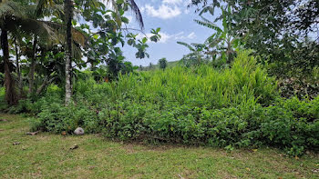 terrain à Morne a l'eau (971)