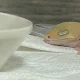 穂馬《あにぐん》