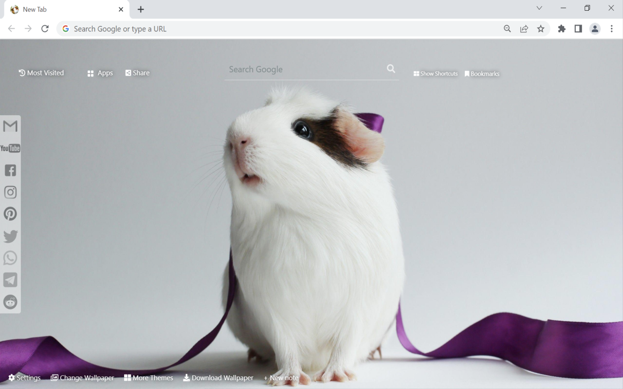 Guinea Pig Wallpaper Preview image 1