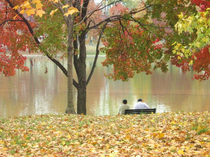 Colori d'autunno di marino