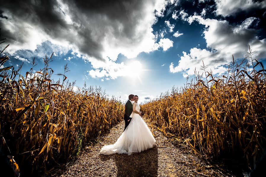 Fotógrafo de casamento David Hallwas (hallwas). Foto de 8 de dezembro 2016