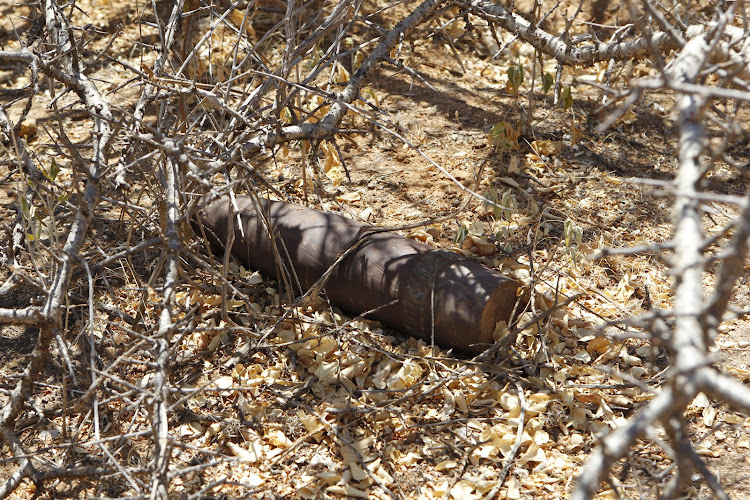 A 105mm smoke which was found during the search.