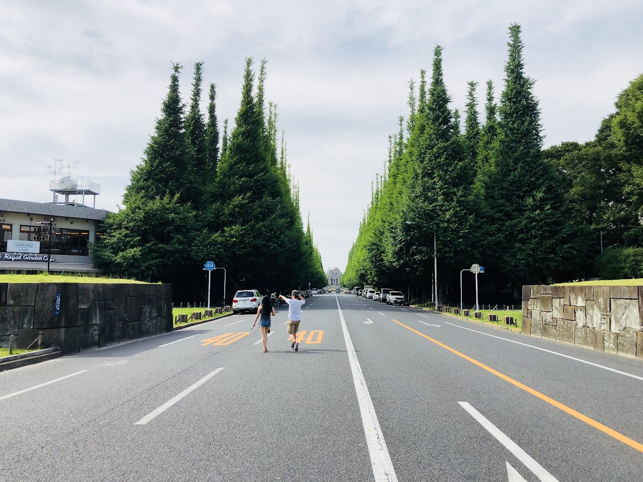 a ginkgo tree row in front of Jingu Gaien