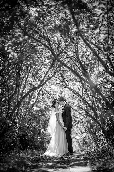 Fotógrafo de casamento Denis Zavgorodniy (zavgorodniy). Foto de 14 de março 2016