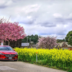 MAZDA6 GJ2FW