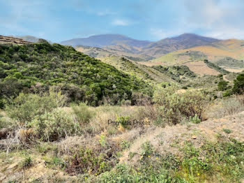 terrain à Banyuls-sur-Mer (66)