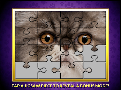 Slots Casino Cash Cats 2 PAID Screenshots 1