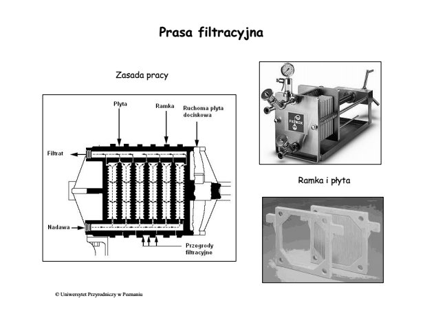 WYKŁADY - Biotechnologia - Notatki i materiały - MailGrupowy.pl