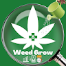 Grow Weed Farm-Cannabis Leafy icon