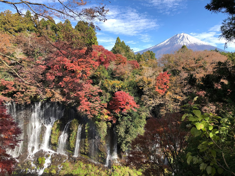 の投稿画像2枚目