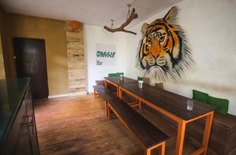 jungle-hostel-budget-trip-goa_image