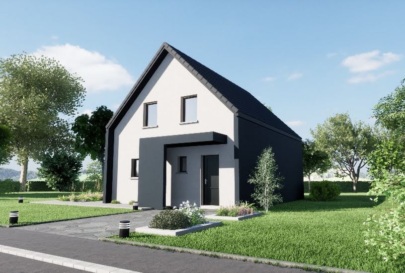  Vente Terrain + Maison - Terrain : 390m² - Maison : 100m² à Wolfgantzen (68600) 